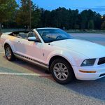 Cyndi Stephens - @hecallsmemustangsally - Instagram