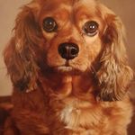 cyndi stephens - @cyndistephens2 - Instagram