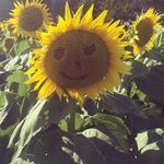 Cyndi Stephenson - @cyndistephenson - Instagram