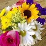 Cyndi Summers - @cynksummers1004 - Instagram
