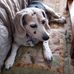Cindy Varney - Facebook