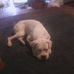 Cindy Varney - Facebook
