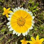 Cindy Webb - @cindywebb - Instagram