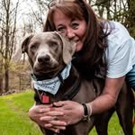 Cyndi Webb Boyd - @cyndiwebbboyd - Instagram