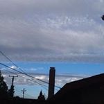 Cyndi Young Laws - @cyndiyounglaws - Instagram