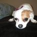 Cynthia Atkinson - Facebook
