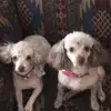 Cynthia Beasley980 - @cynthiabeasley980 - TikTok
