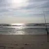 Cynthia Beasley - @cynthia.beasley4 - TikTok