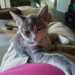 Cynthia Coulombe - @cynthia.bergeron.20 - Instagram