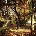 Cynthia Bohnen - @cynthiabohnen - Instagram