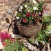 Cynthia Bolen - Facebook
