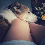 Cynthia Leirós Rodríguez-Cadarso - @cynthialeirosrodriguezcadarso - Instagram