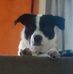 Cynthia Cameron - Facebook