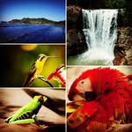Cynthia Chaves - @disfrutandocostarica - Instagram