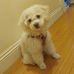 Cynthia Ching - Facebook
