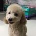 Cynthia Ching Ling - Facebook
