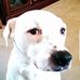 Cynthia Compton - Facebook