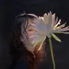 cynthiadai895 - @cynthiadai895 - TikTok