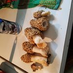Cynthia Dewitt - @cynsu57 - Instagram