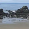 Cynthia Dodson - @cynthia.dodson5 - TikTok