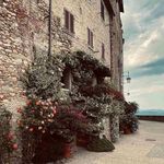Cynthia Dougherty - @cynthiadougherty663 - Instagram