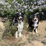 Cynthia Downing - @cynthia.a.downing - Instagram