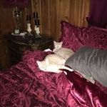Cynthia Eldridge - @cynthia.eldridge - Instagram