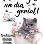 Cynthia Estrella - @cynthia.estrella.338 - Instagram
