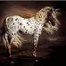 Cynthia Everett - Facebook