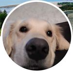 @cynthia_fairweather20 - Instagram