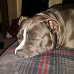 Cynthia Fisher - @cynthia_fisher_112 - Instagram
