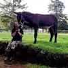 cynthiafisher48 - @cynthiafisher48 - TikTok