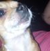 Cynthia Frame - Facebook