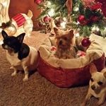 Cynthia Freeman - @cynthia.freeman.737 - Instagram