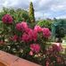 Cynthia Freeman - Facebook