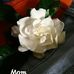 Cynthia Grable - Facebook