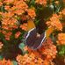 Cynthia Graff - Facebook
