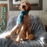Cynthia Hackett - @cynthiahackett61 - Instagram