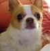 Cynthia Hackett - Facebook