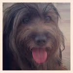 Cynthia Hamlin - @tenjournalguanto - Instagram