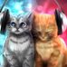 Cynthia Harold - Facebook