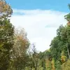 Cynthia Harrison - @cynthia.harrison13 - TikTok