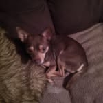 Cynthia Hatcher - @cynthia.hatcher.520 - Instagram