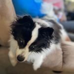 Cynthia L. Head - @chead343 - Instagram