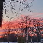 Cynthia Holcomb - @britocindy37 - Instagram