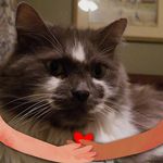 Cynthia Hull - @greeneyes41yc - Instagram