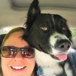 Cynthia Hull - @cynsationalresources - Instagram