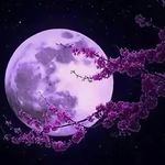 Cynthia Hull - @crushonrt66 - Instagram