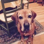 Cynthia Jaynes - @pitsrule1984 - Instagram