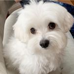 cynthia kaiser - @cynthiakaise - Instagram